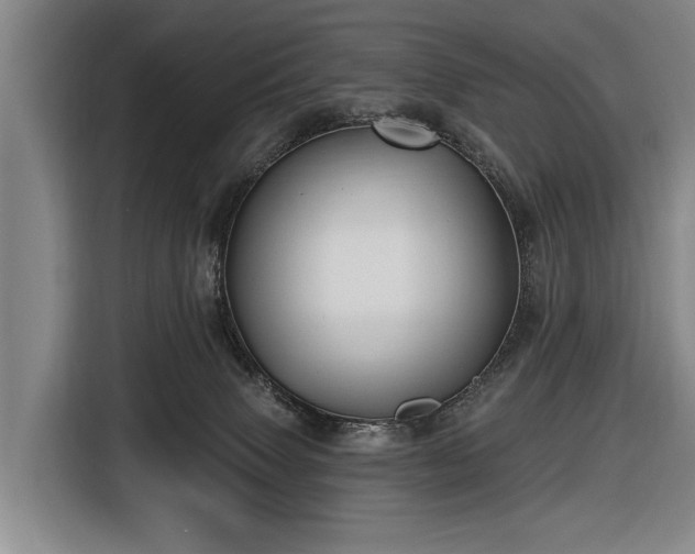 X0000116490083200912161327