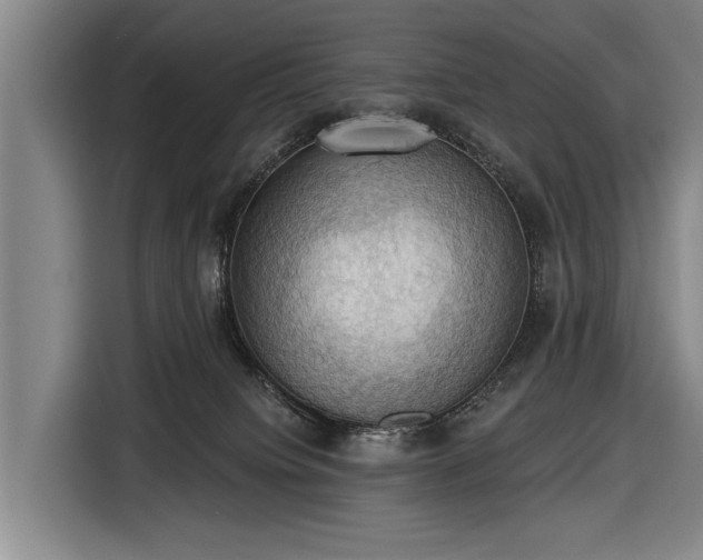 X0000116490084200912161327