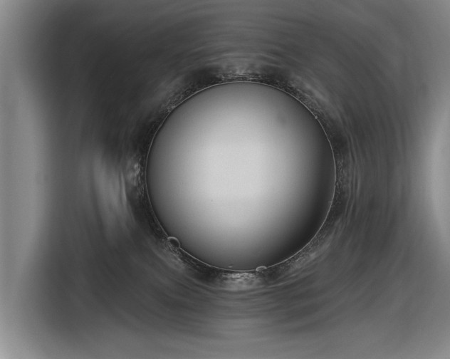 X0000116490087200912161327