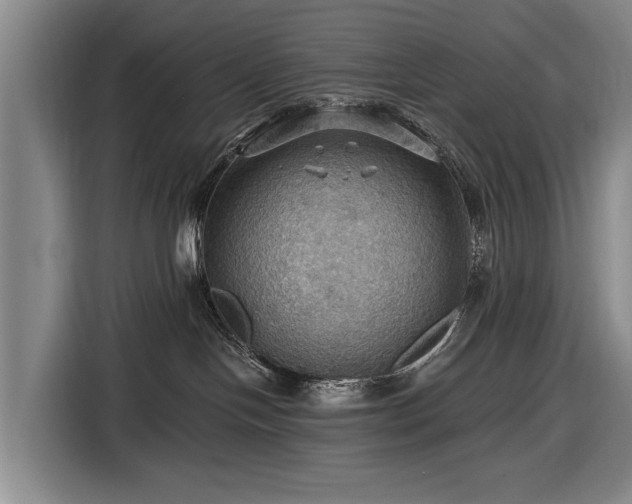 X0000116490094200912161327