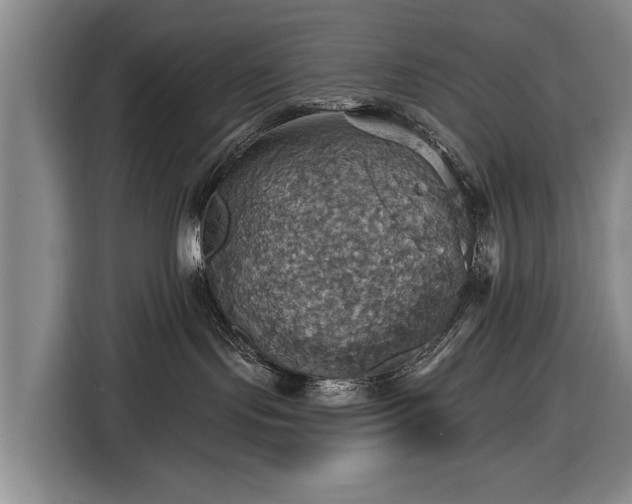 X0000116490095200912161327