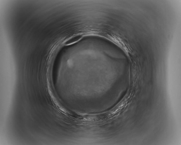 X0000116490097200912161327