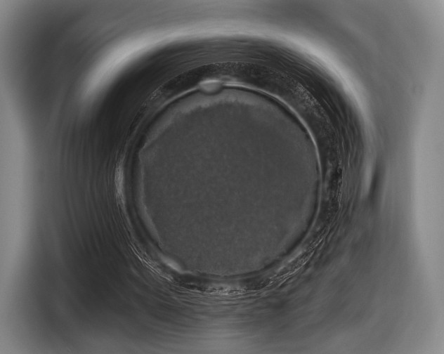 X0000116490099200912161327