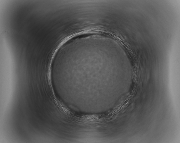 X0000116490100200912161327