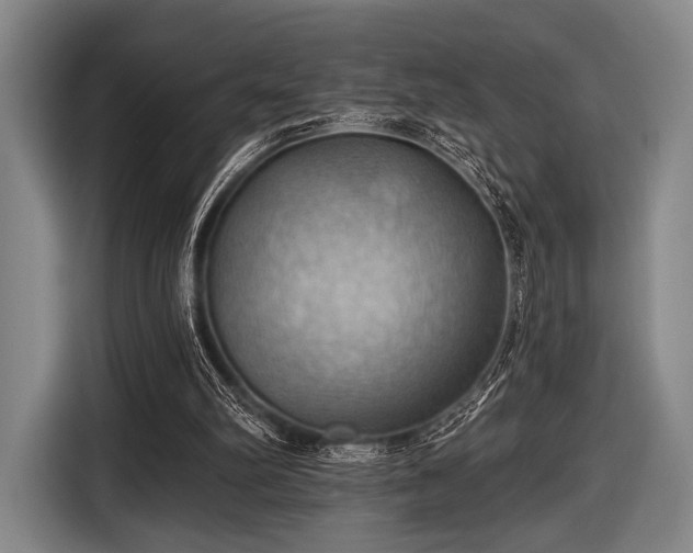 X0000116490102200912161326