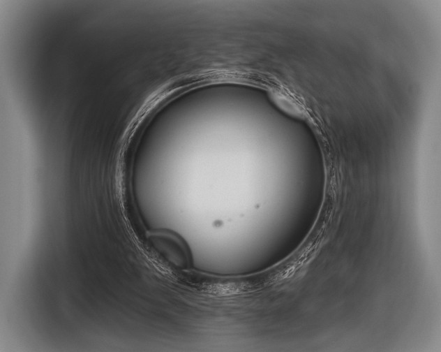 X0000116490103200912161326