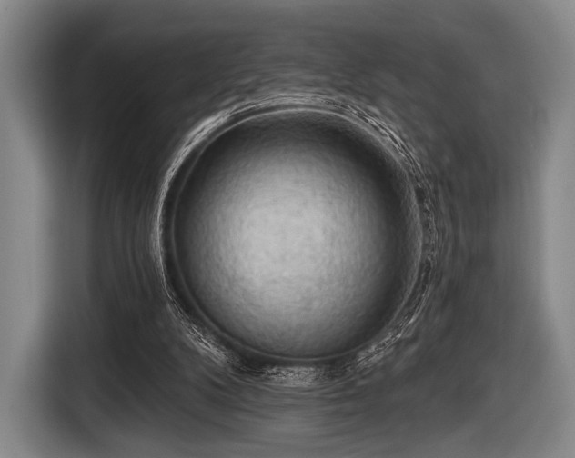 X0000116490104200912161326