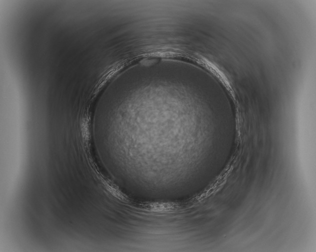 X0000116490105200912161326