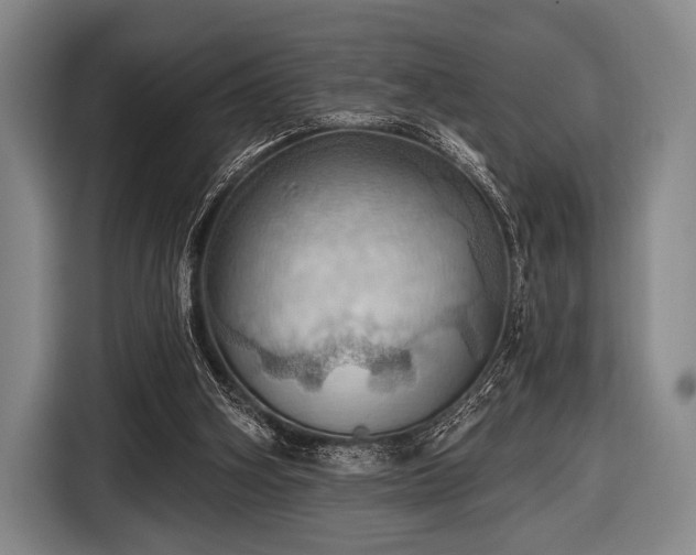 X0000116490106200912161326