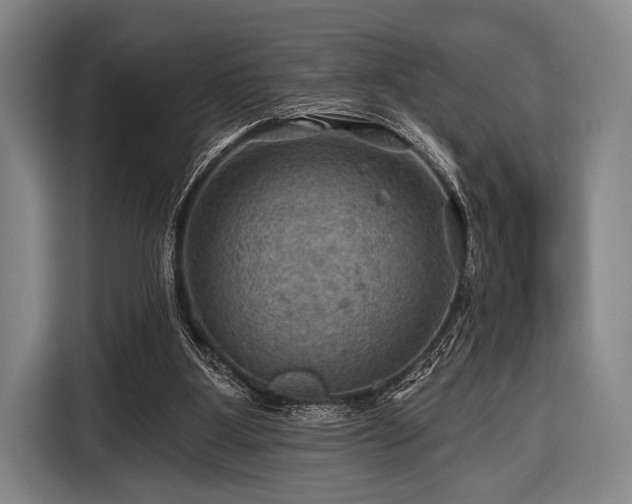 X0000116490107200912161326