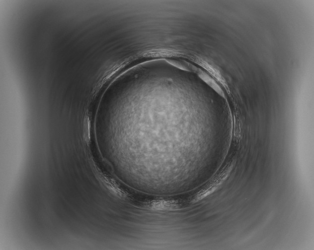 X0000116490109200912161326