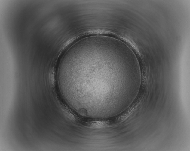 X0000116490111200912161326