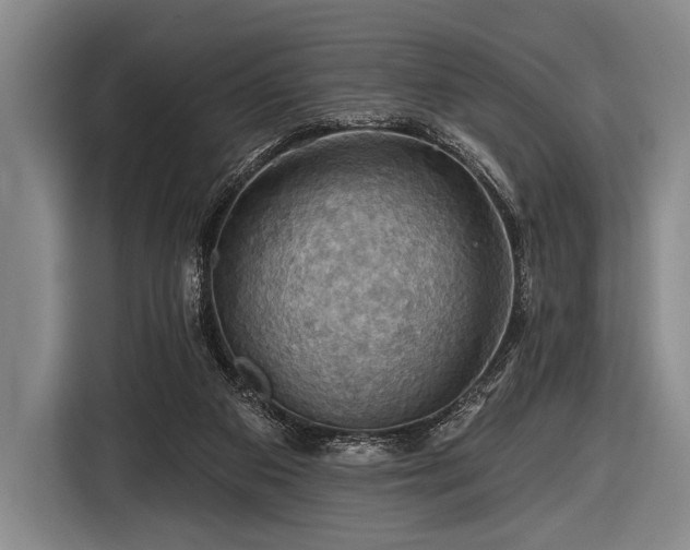 X0000116490113200912161326