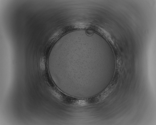 X0000116490114200912161326