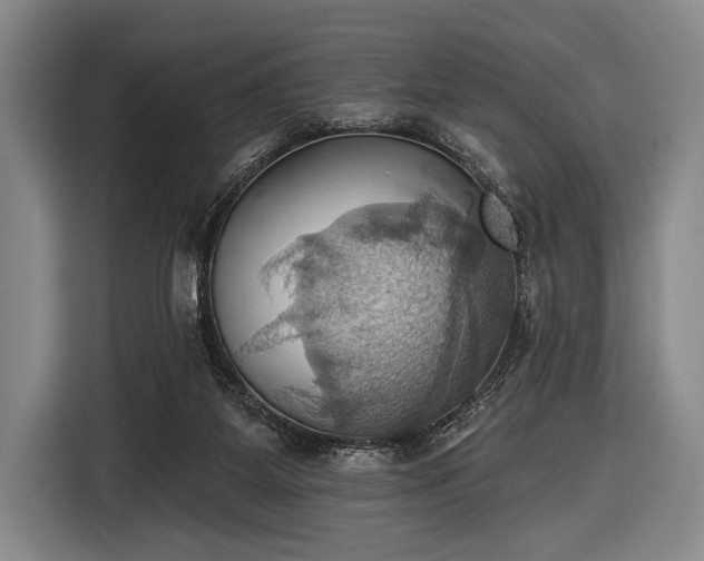 X0000116490115200912161326