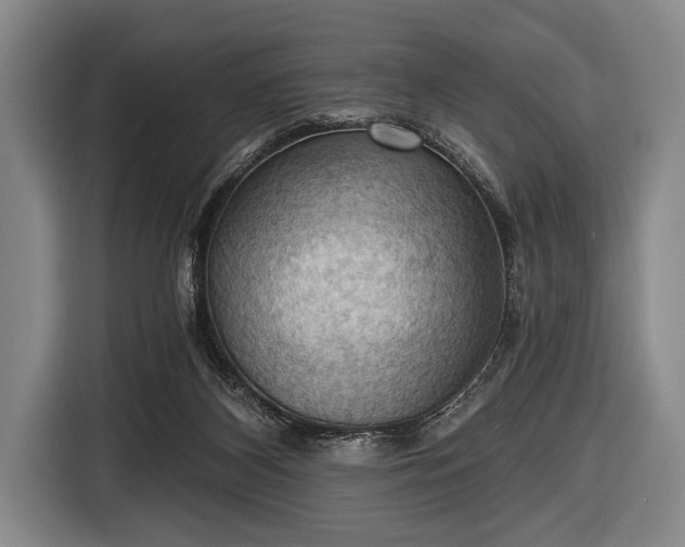 X0000116490116200912161326