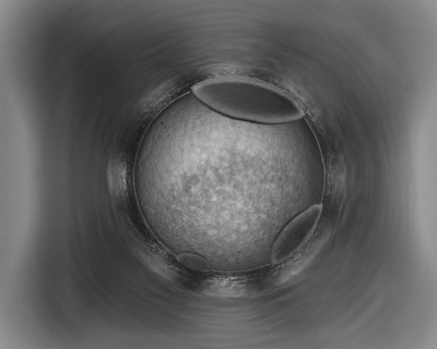 X0000116490117200912161326