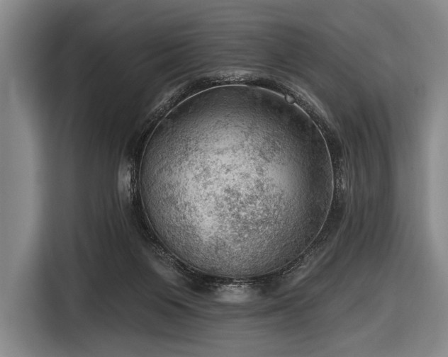 X0000116490119200912161326