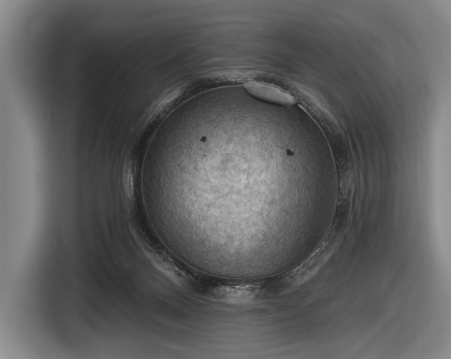 X0000116490120200912161326