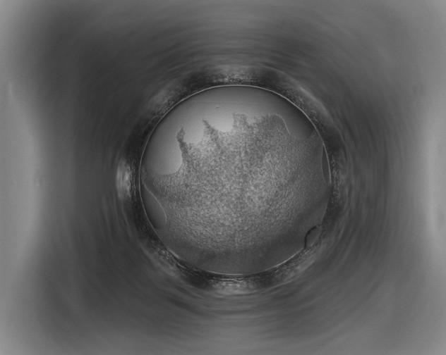 X0000116490123200912161326