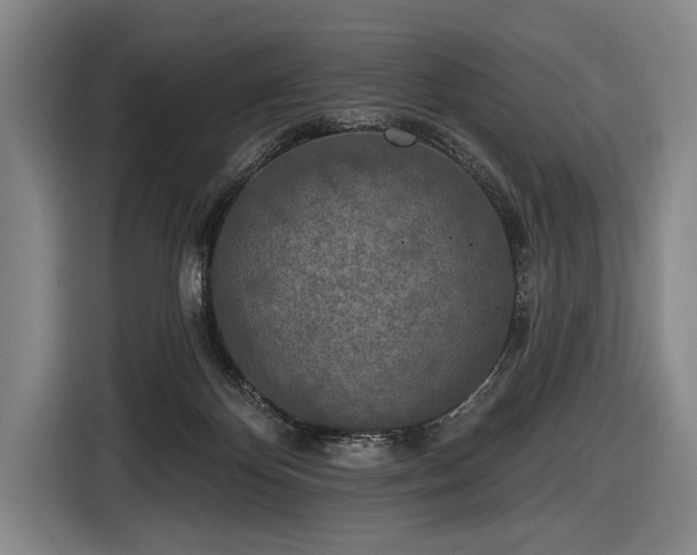 X0000116490124200912161326