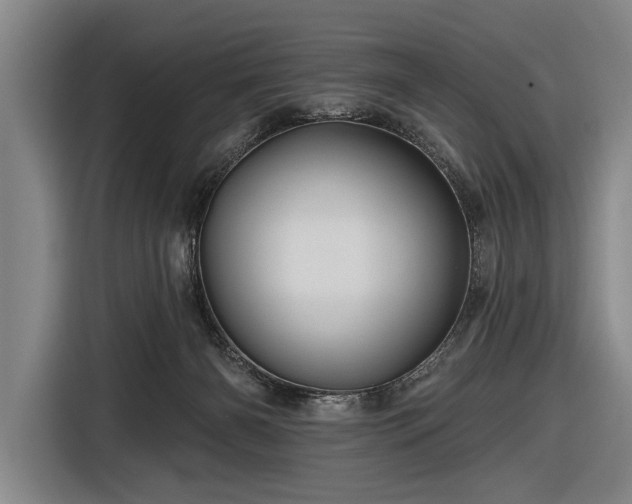 X0000116490126200912161326