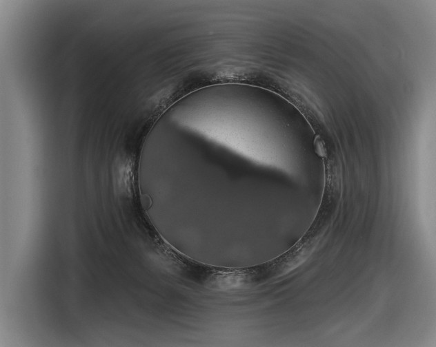 X0000116490127200912161326