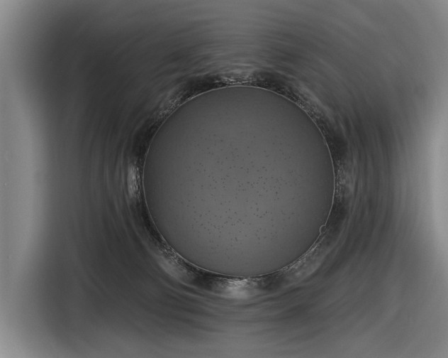 X0000116490130200912161326