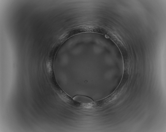 X0000116490131200912161326