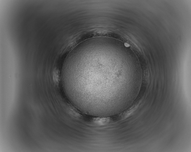 X0000116490135200912161326