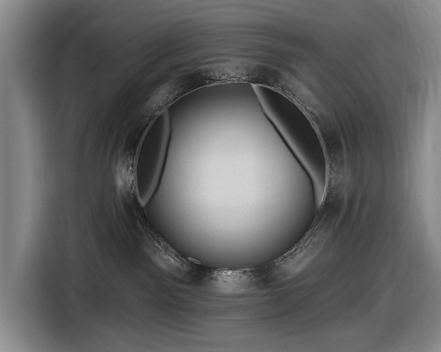 X0000116490141200912161326