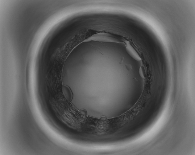 X0000116490143200912161326