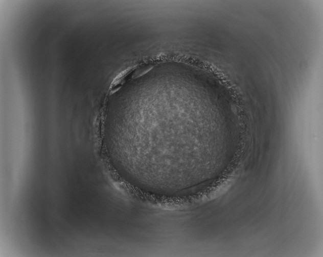 X0000116490144200912161326