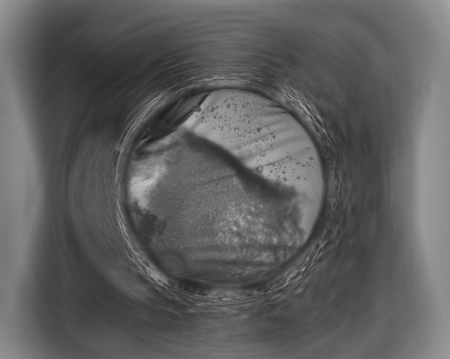 X0000116490145200912161325