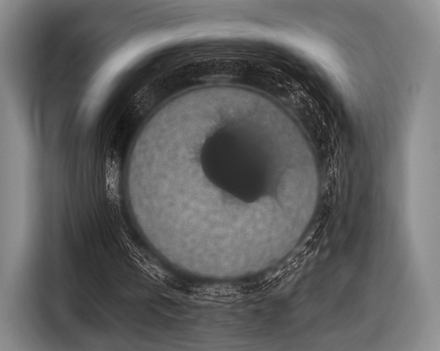 X0000116490146200912161325