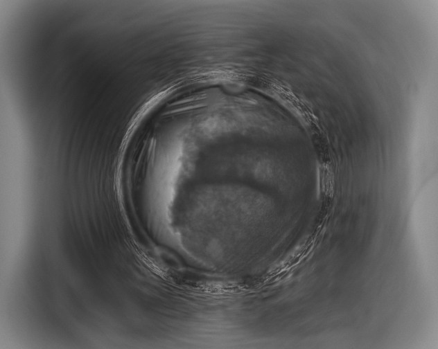 X0000116490147200912161325