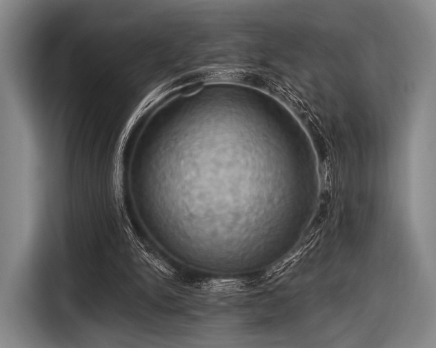 X0000116490150200912161325