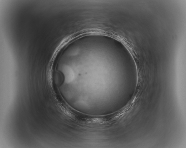 X0000116490151200912161325