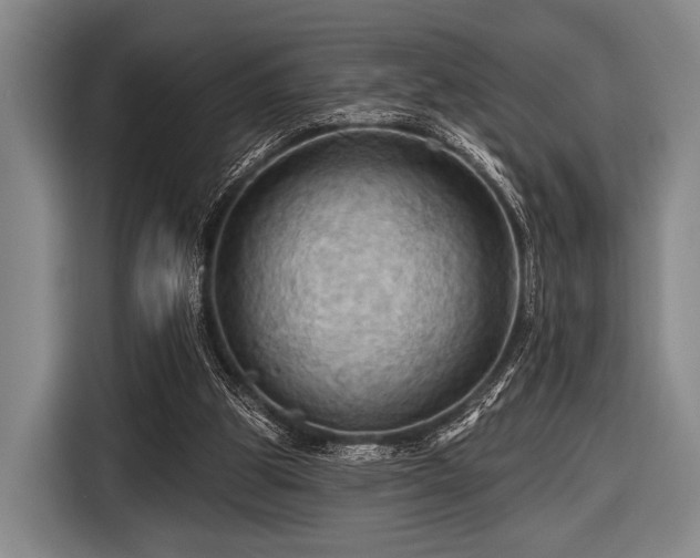 X0000116490153200912161325