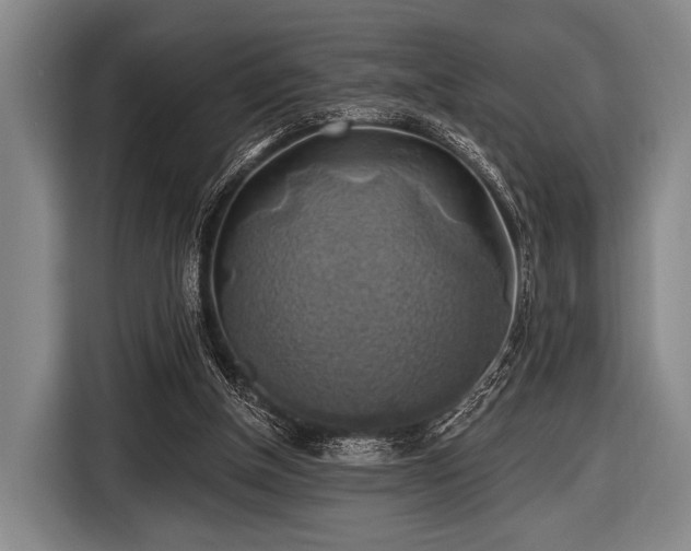 X0000116490154200912161325