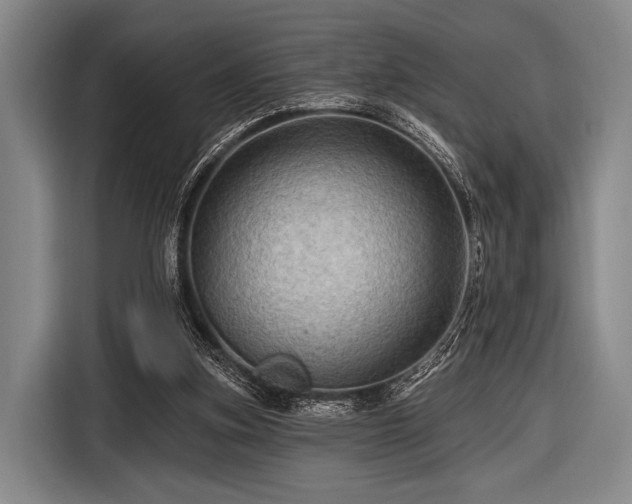 X0000116490155200912161325