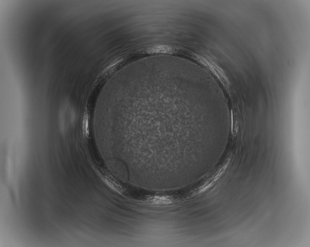 X0000116490157200912161325