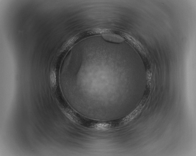 X0000116490158200912161325