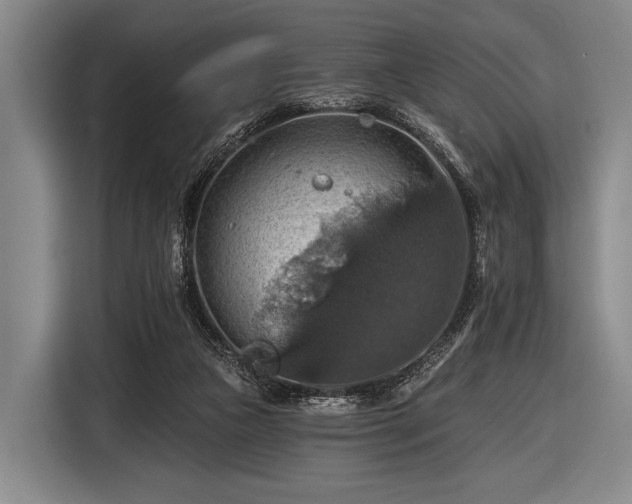 X0000116490161200912161326