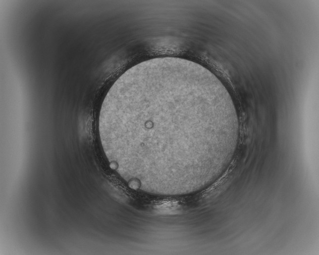 X0000116490162200912161326