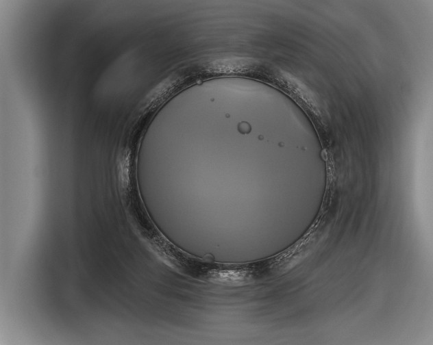 X0000116490163200912161326