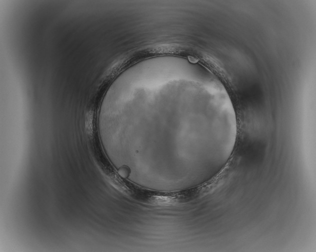 X0000116490167200912161326