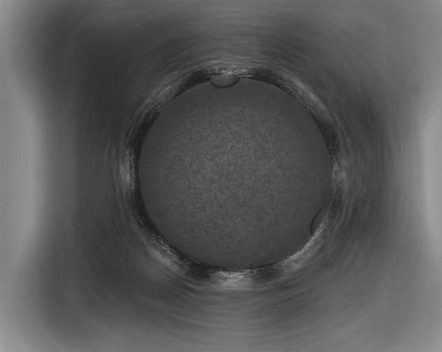 X0000116490170200912161326