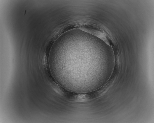 X0000116490173200912161326