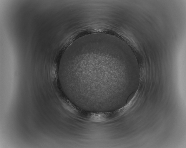 X0000116490174200912161326